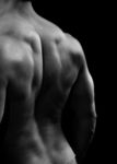 Back muscle mass