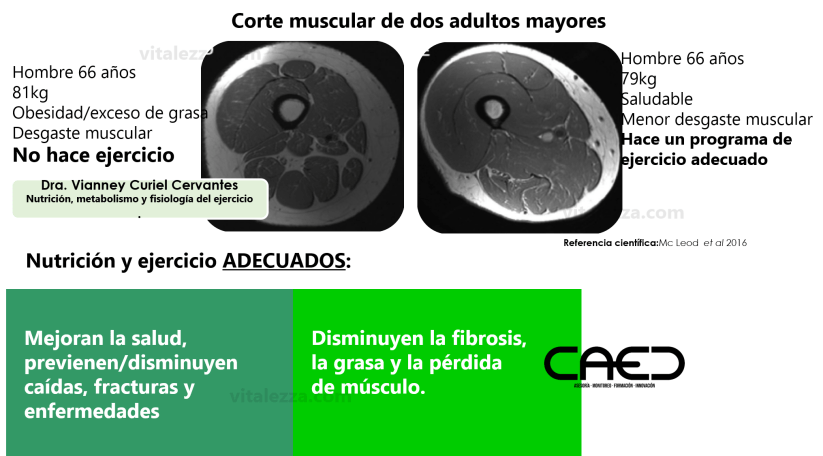 Corte musc- ejerc- 1 VCC